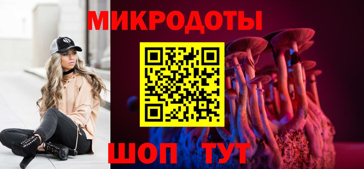 Костомукша  Псилоцибиновые грибы Cubensis  Вход с VPN 